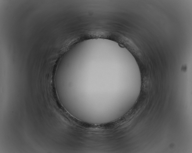 X0000097760259200803070843