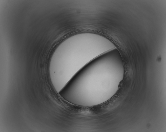X0000097760262200803070843