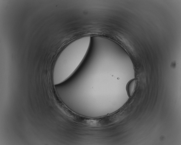 X0000097760265200803070843