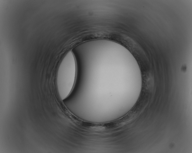 X0000097760266200803070843