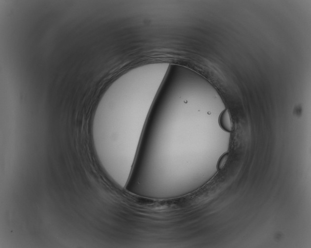 X0000097760267200803070843