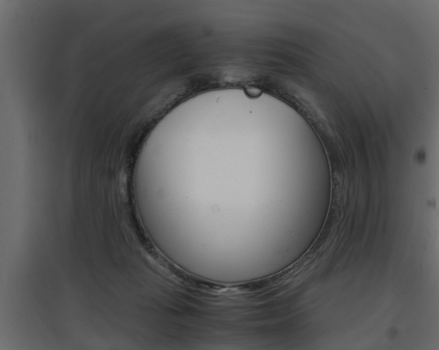 X0000097760269200803070843