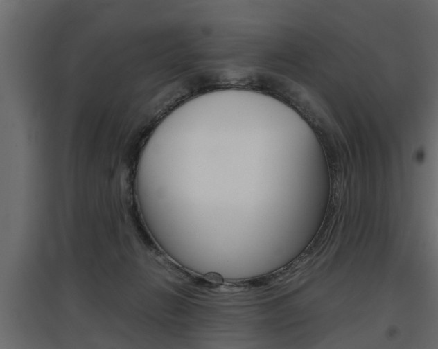 X0000097760270200803070843