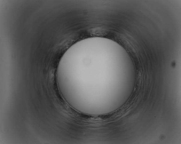 X0000097760271200803070844