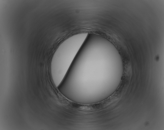 X0000097760272200803070844