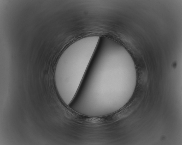 X0000097760273200803070844