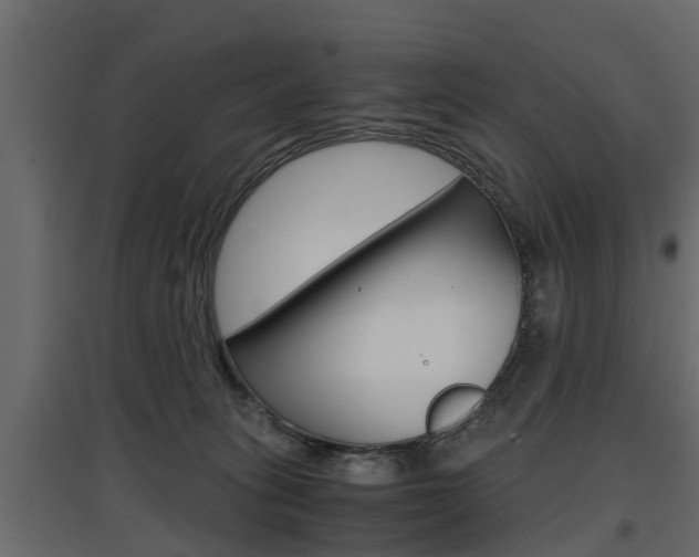 X0000097760275200803070844