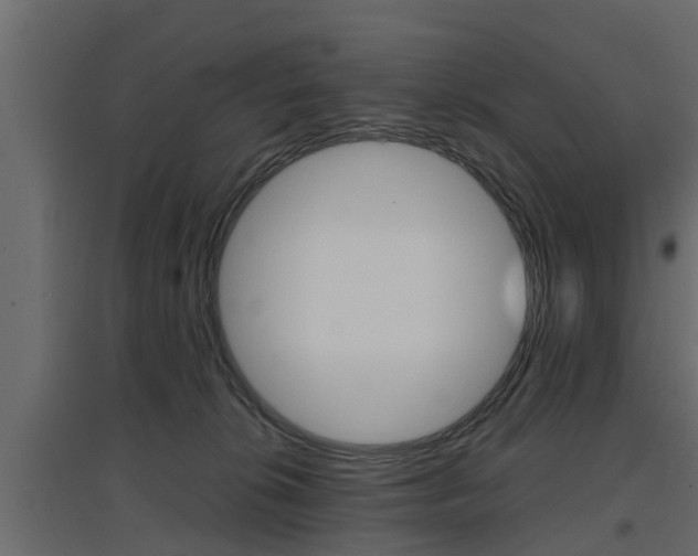 X0000097760276200803070844
