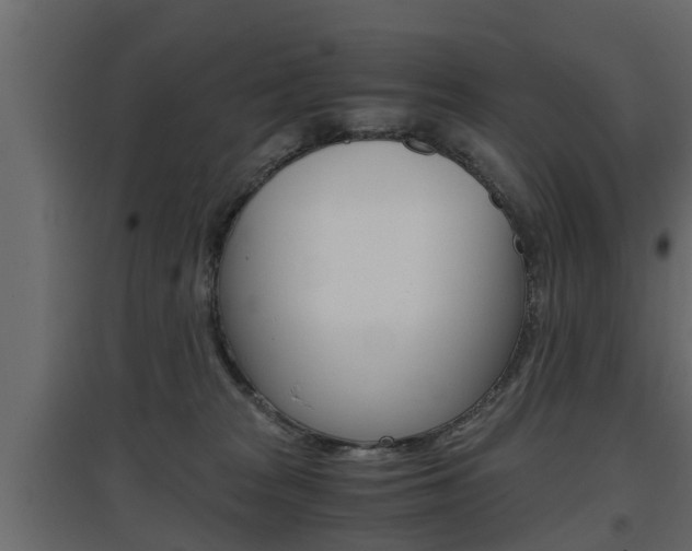 X0000097760277200803070844