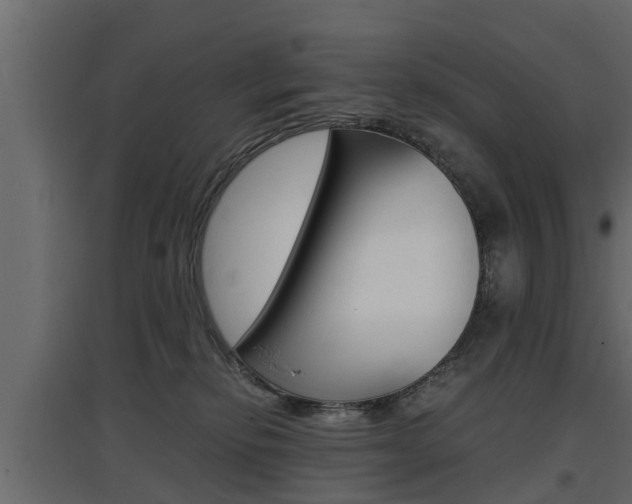 X0000097760278200803070844