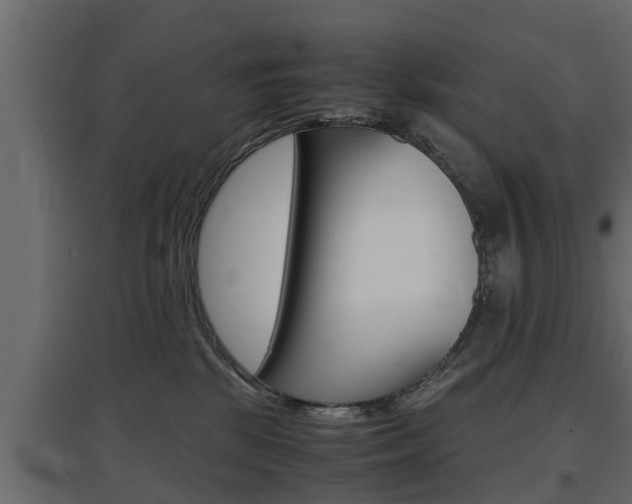 X0000097760281200803070844