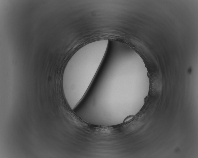 X0000097760282200803070844