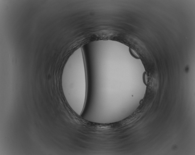 X0000097760283200803070844