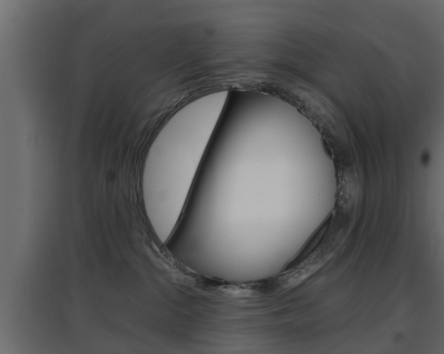 X0000097760284200803070844