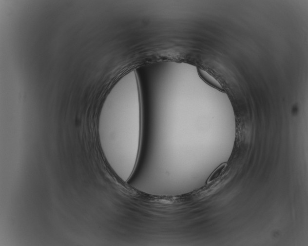 X0000097760285200803070844