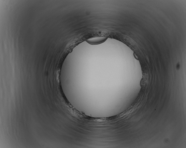 X0000097760286200803070844