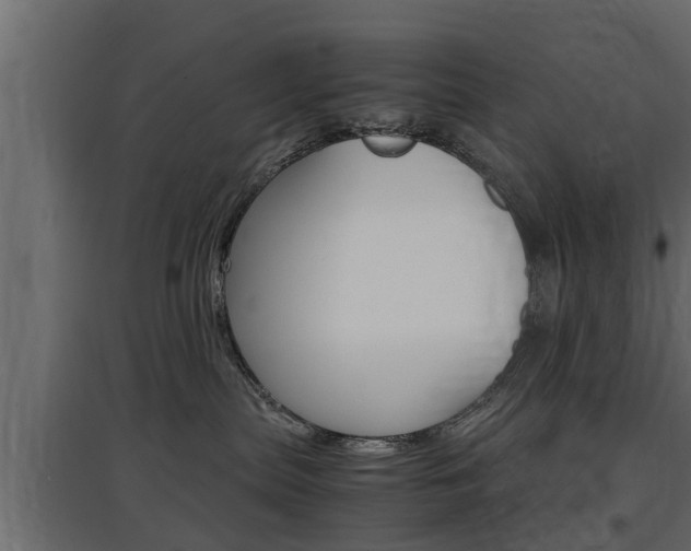X0000097760287200803070844