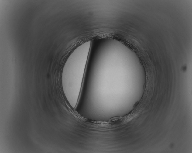 X0000097760288200803070844