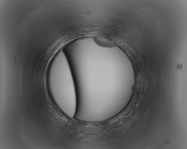 X0000097760290200803070843