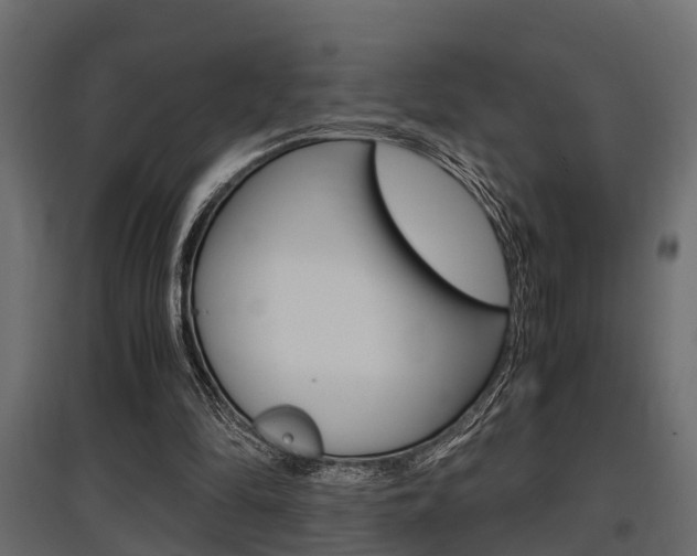 X0000097760294200803070843