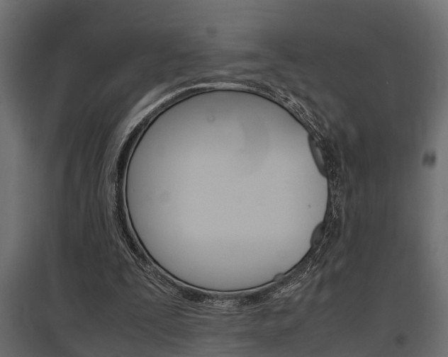 X0000097760295200803070843