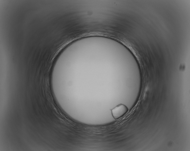 X0000097760297200803070843