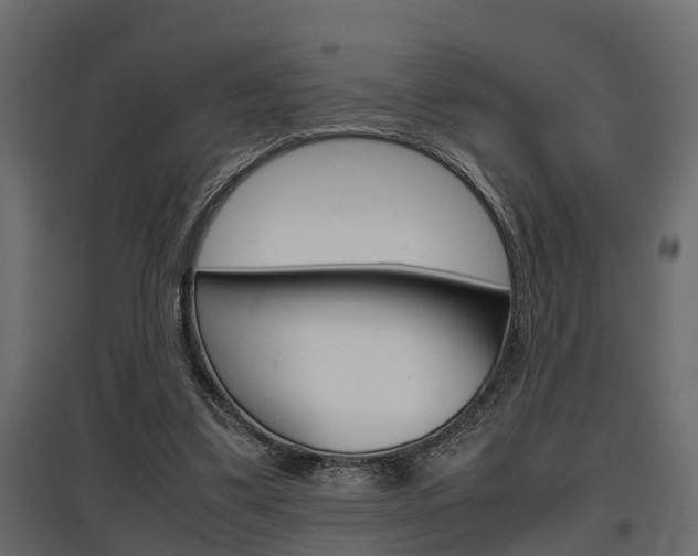 X0000097760299200803070843