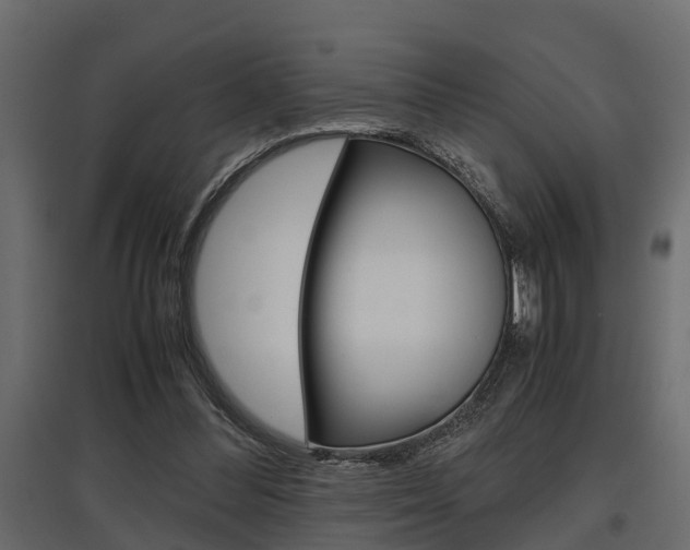 X0000097760300200803070843