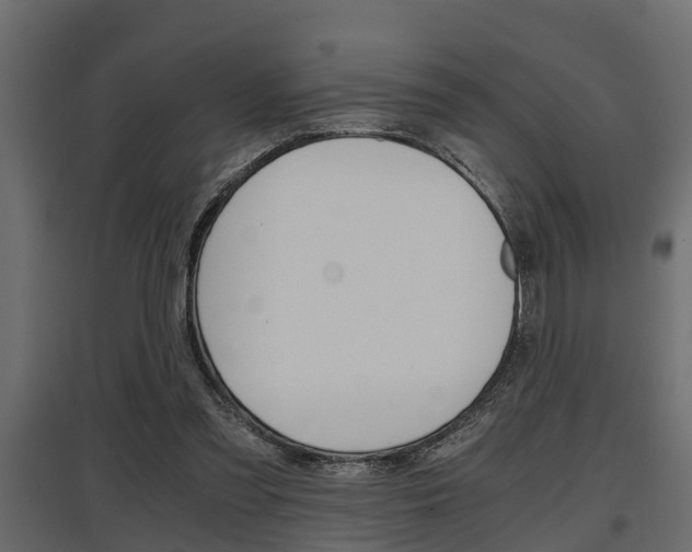 X0000097760301200803070843