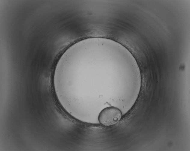 X0000097760302200803070843