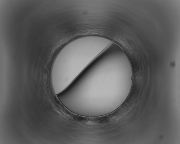 X0000097760303200803070843