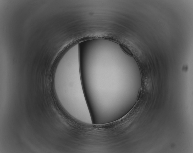 X0000097760304200803070843