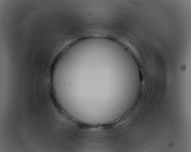 X0000097760306200803070843