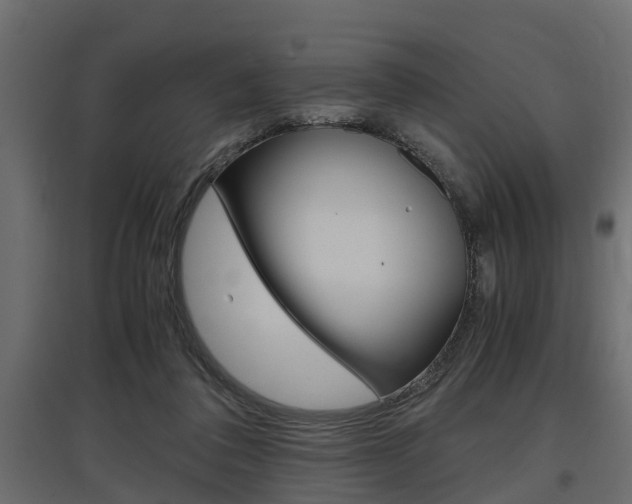 X0000097760308200803070843