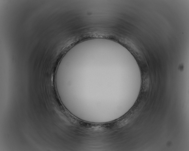 X0000097760310200803070843
