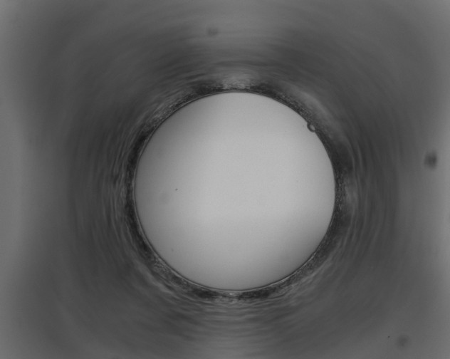 X0000097760311200803070843