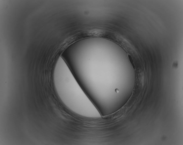 X0000097760312200803070843