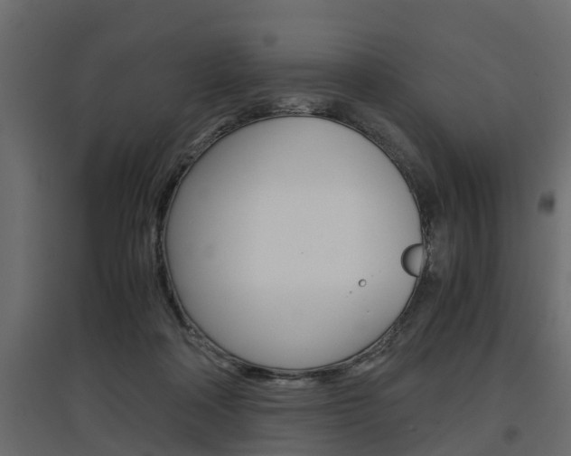 X0000097760314200803070843
