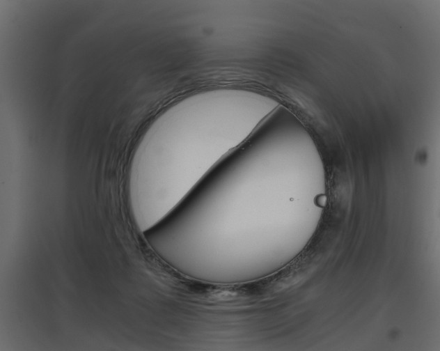 X0000097760315200803070843