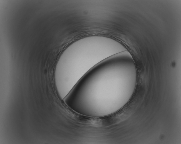 X0000097760317200803070843