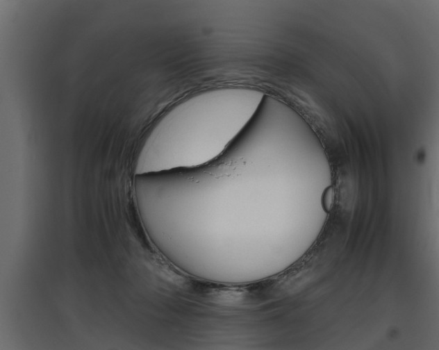 X0000097760318200803070843