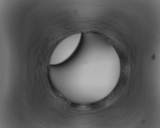 X0000097760319200803070843