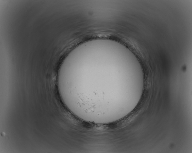 X0000097760321200803070843