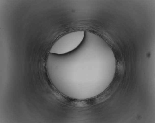X0000097760322200803070843