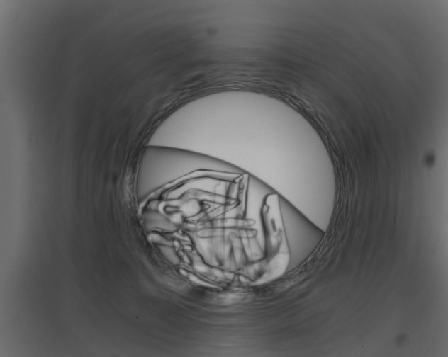 X0000097760323200803070843