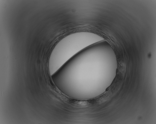 X0000097760324200803070843