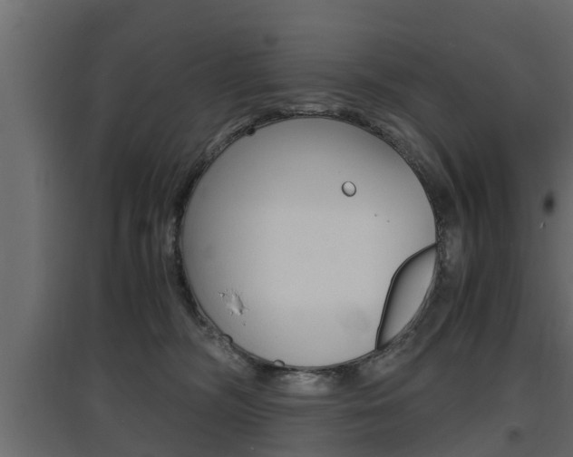 X0000097760326200803070843