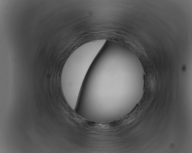 X0000097760328200803070843