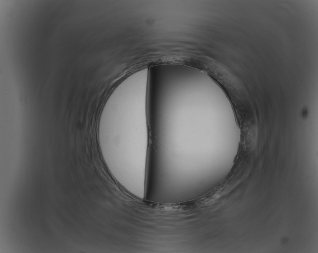 X0000097760329200803070843