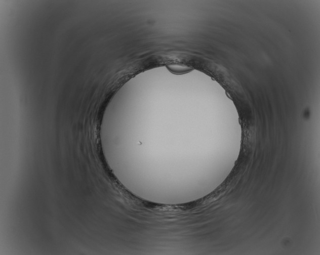 X0000097760331200803070842